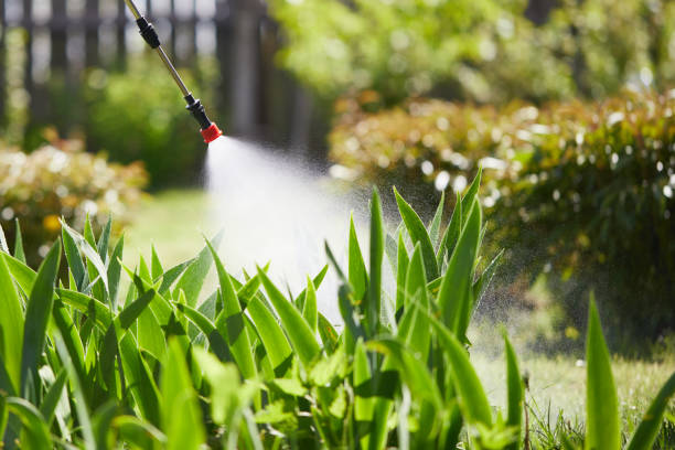 Tamper-Resistant Bait Stations for Rodents in Contoocook